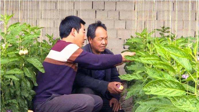 快优配平台官方登录入口——快速便捷的一站式服务通道